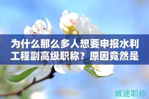 为什么那么多人想要申报水利工程副高级职称？原因竟然是这些