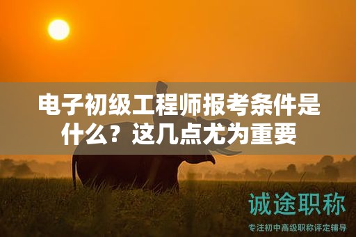 电子初级工程师报考条件是什么？这几点尤为重要