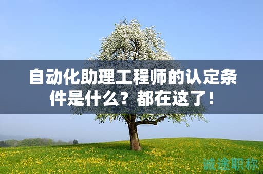 2024年自动化助理工程师的认定条件是什么？都在这了！