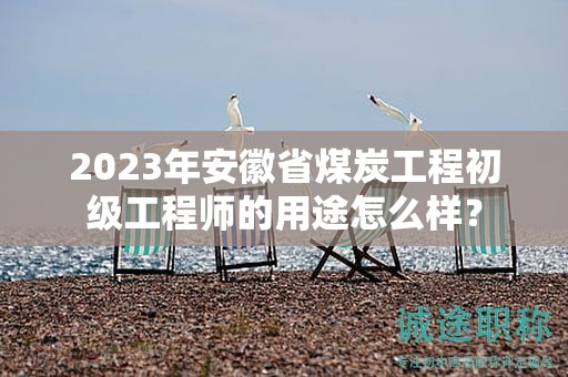 2023年安徽省煤炭工程初级工程师的用途怎么样？