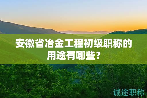 安徽省冶金工程初级职称的用途有哪些？