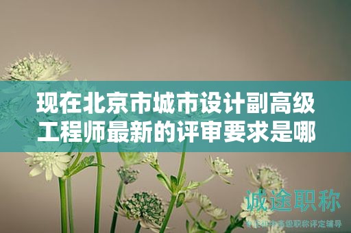 现在北京市城市设计副高级工程师最新的评审要求是哪些呢？