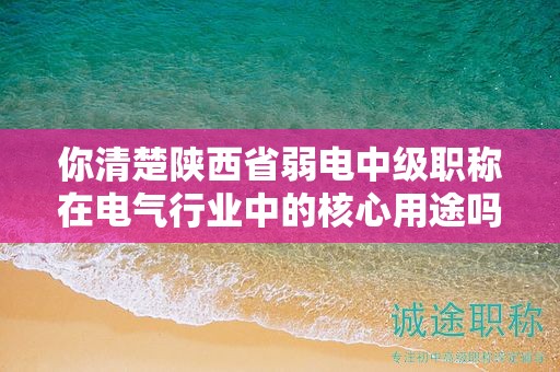 你清楚陕西省弱电中级职称在电气行业中的核心用途吗？