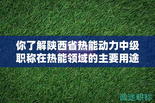 你了解陕西省热能动力中级职称在热能领域的主要用途吗？