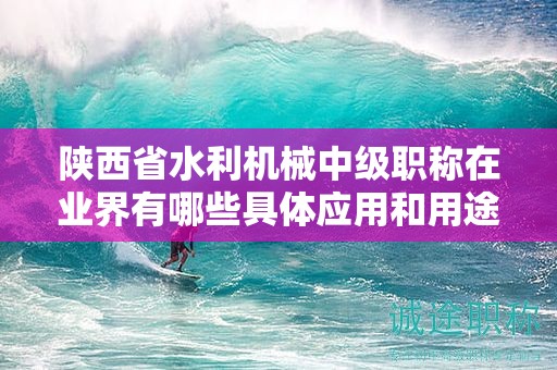 陕西省水利机械中级职称在业界有哪些具体应用和用途？