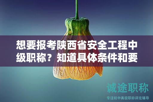 想要报考陕西省安全工程中级职称？知道具体条件和要求了吗？