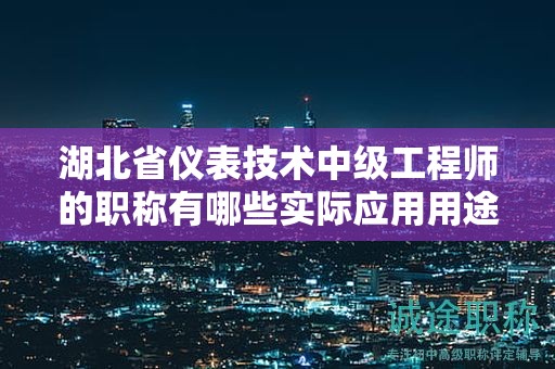 湖北省仪表技术中级工程师的职称有哪些实际应用用途？