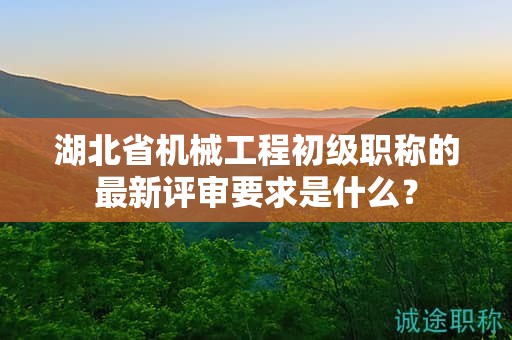 湖北省机械工程初级职称的最新评审要求是什么？