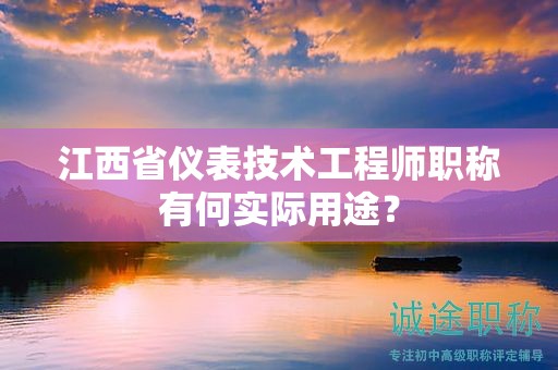 江西省仪表技术工程师职称有何实际用途？