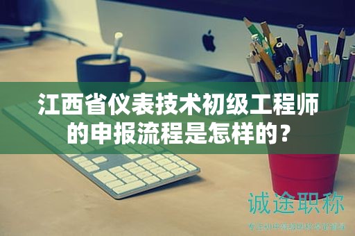 江西省仪表技术初级工程师的申报流程是怎样的？