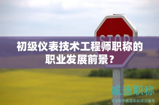 初级仪表技术工程师职称的职业发展前景？