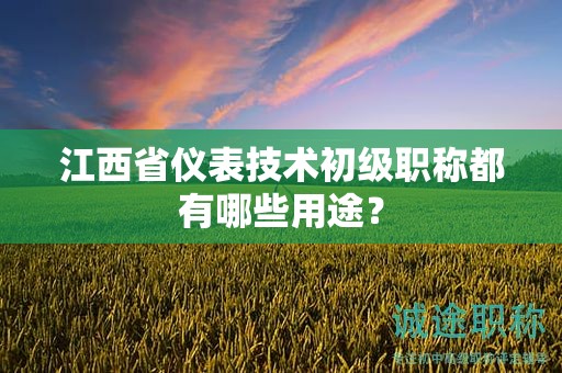 江西省仪表技术初级职称都有哪些用途？