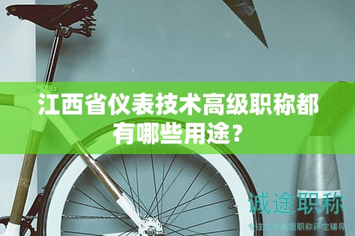 江西省仪表技术高级职称都有哪些用途？