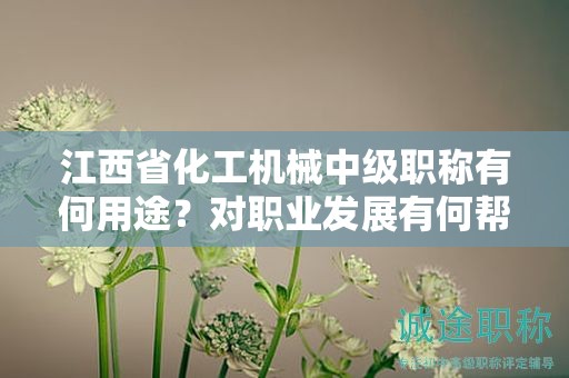 江西省化工机械中级职称有何用途？对职业发展有何帮助？