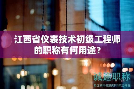 江西省仪表技术初级工程师的职称有何用途？