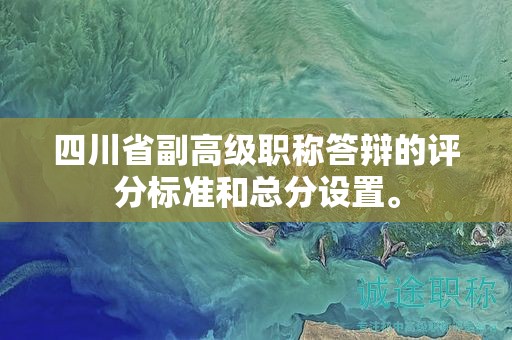 四川省副高级职称答辩的评分标准和总分设置。