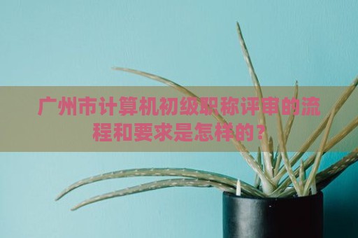 广州市计算机初级职称评审的流程和要求是怎样的？