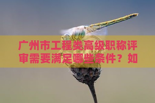 广州市工程类高级职称评审需要满足哪些条件？如何做好准备？