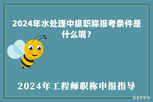 2024年水处理中级职称报考条件是什么呢？