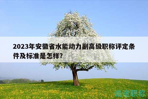 2023年安徽省水能动力副高级职称评定条件及标准是怎样？