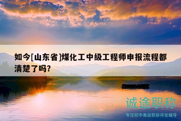 如今[山东省]煤化工中级工程师申报流程都清楚了吗？