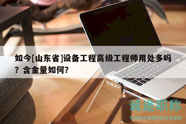 如今[山东省]设备工程高级工程师用处多吗？含金量如何？