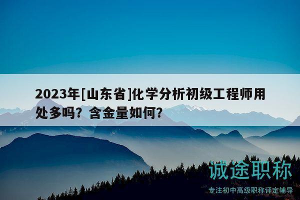 2023年[山东省]化学分析初级工程师用处多吗？含金量如何？