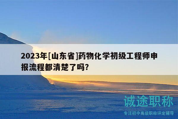 2023年[山东省]药物化学初级工程师申报流程都清楚了吗？