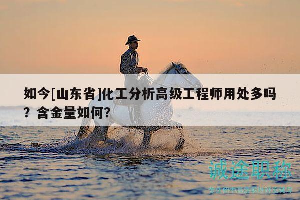 如今[山东省]化工分析高级工程师用处多吗？含金量如何？