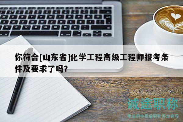 你符合[山东省]化学工程高级工程师报考条件及要求了吗？