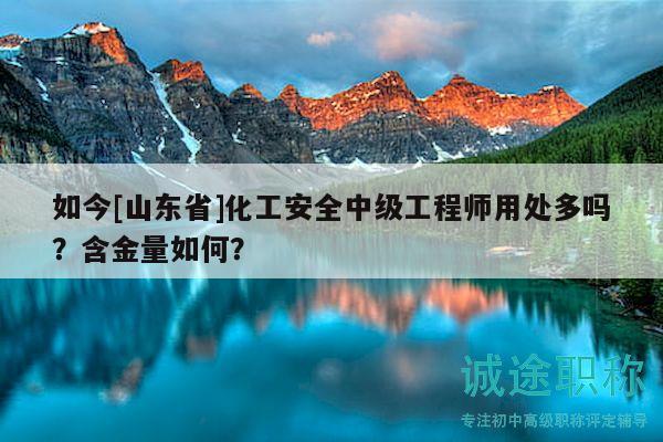 如今[山东省]化工安全中级工程师用处多吗？含金量如何？