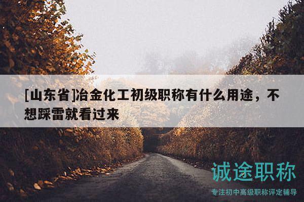 [山东省]冶金化工初级职称有什么用途，不想踩雷就看过来