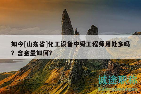 如今[山东省]化工设备中级工程师用处多吗？含金量如何？