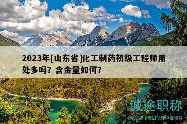 2023年[山东省]化工制药初级工程师用处多吗？含金量如何？