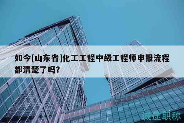 如今[山东省]化工工程中级工程师申报流程都清楚了吗？