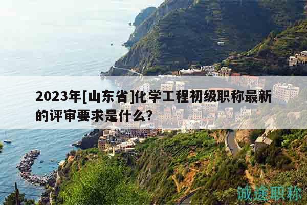 2023年[山东省]化学工程初级职称最新的评审要求是什么？